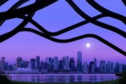 世界游艇青年赛赛事志愿者跨国互访第二季启程，游艇设计比赛